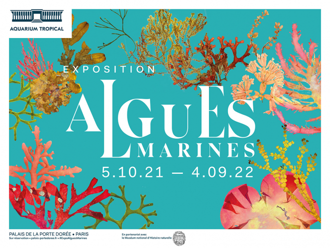 Image Visitez l’exposition Algues marines !